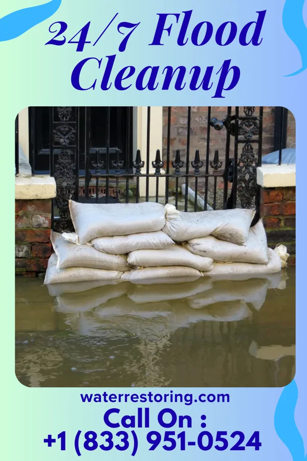 24/7 Flood Cleanup in Lake Tekakwitha, MO