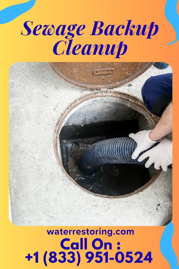 Sewage Backup Cleanup in Lake Tekakwitha, MO