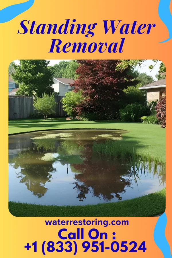 Standing Water Removal in Lake Tekakwitha, MO